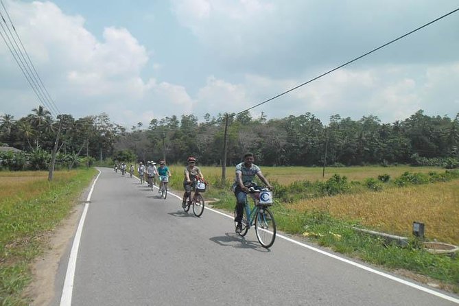 Half-Day Lagoon and Village Cycling Tour in Galle