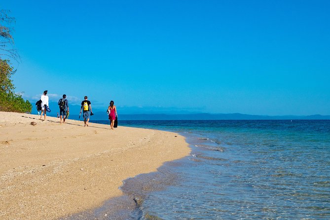 Half Day Low Isles Snorkelling Tour From Port Douglas - Tour Highlights