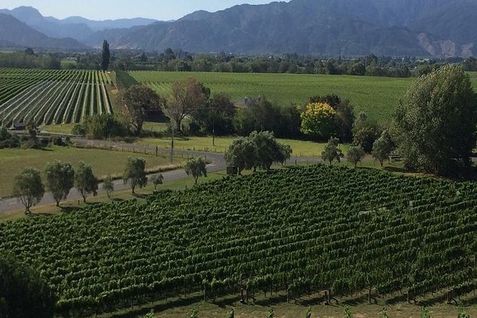 Half-Day Marlborough Gourmet Tasting Tour From Blenheim - Local Wineries and Artisan Shops