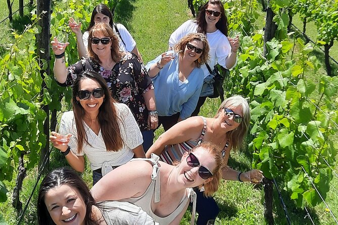 Half Day Martinborough Winery Tour From Wellington - Tour Overview and Highlights