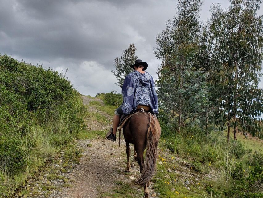 Half Day : Mountain Ride on Horseback