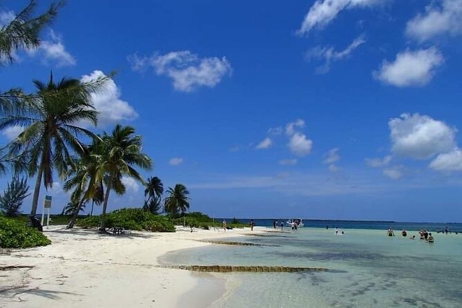 Half Day Private Boat Charter in Grand Cayman - Included Amenities