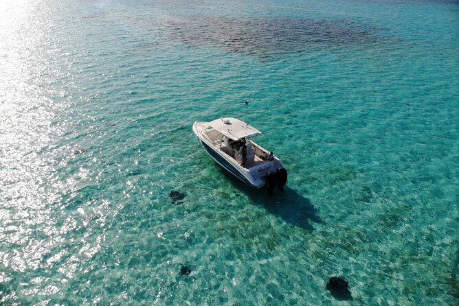 Half-Day Private Stingray City Charter - Grand Cayman - BTC - Experience Overview