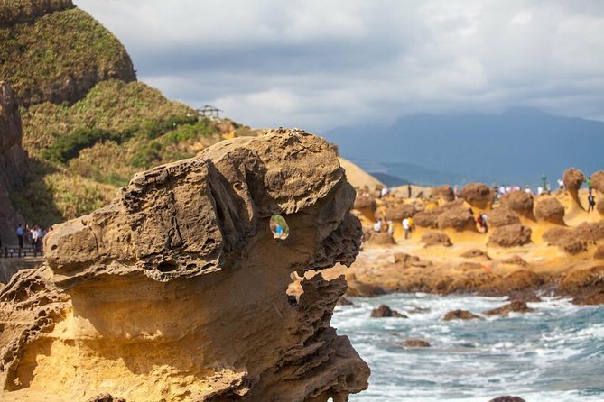 Half Day Private Tour to Yangmingshan National Park and Yehliu Geopark