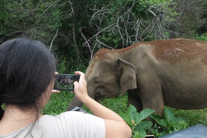 Half Day Safari Guided Tour