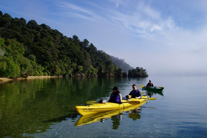 Half Day Sea Kayak Guided Tour From Picton