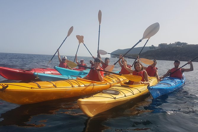 Half Day Sea Kayak Trip - Overview of the Trip