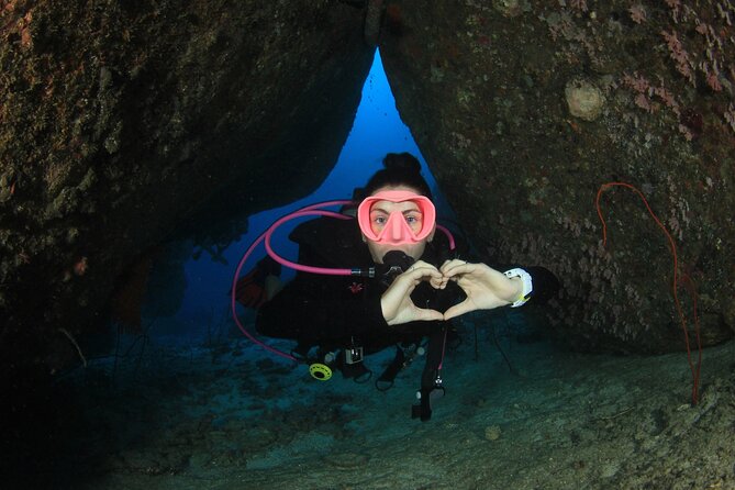 Half-Day Small-Group 2-Tank Scuba Dive in Key Largo (CERTIFIED DIVERS ONLY) - Overview of the Dive Experience