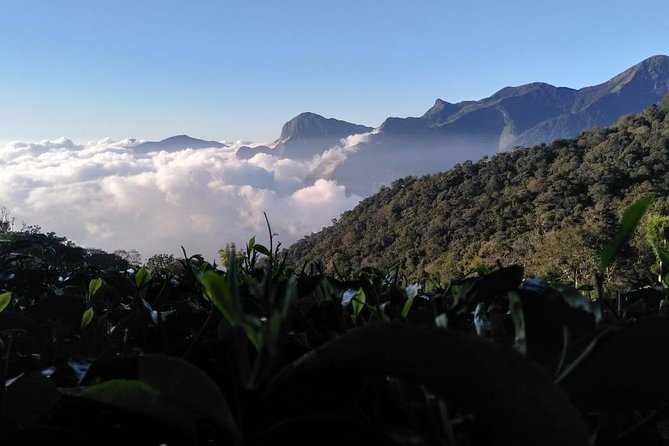 Half Day Sunrise Tour on Top Station, Munnar ( By Munnar Info) - Tour Overview