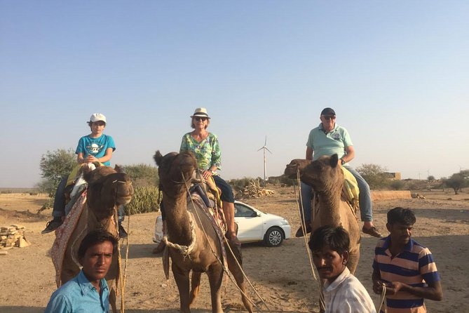 Half-Day Sunset Camel Safari in Rajasthan - Overview of the Camel Safari