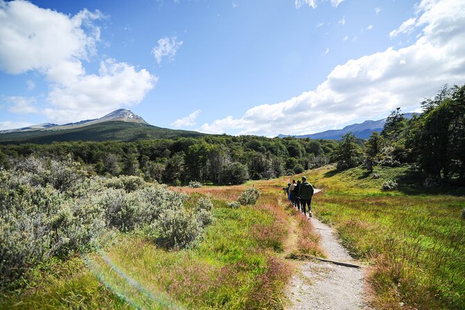 Half-Day Tierra Del Fuego National Park With Lunch and Drinks