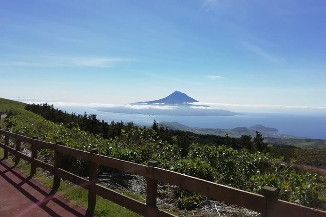 Half Day Tour - Faial Island - Tour Details