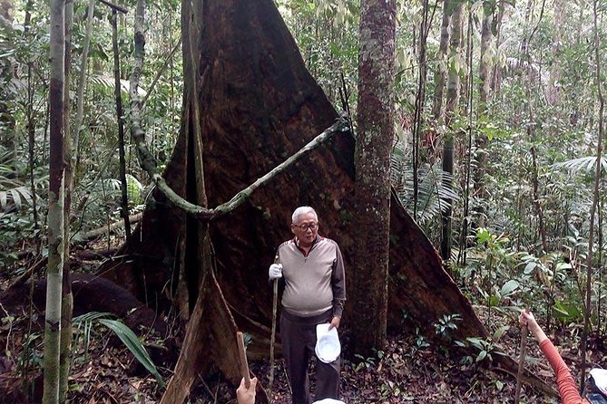 Half Day Tour- Jaguar Jungle Survival – Amazon Rainforest – From Manaus