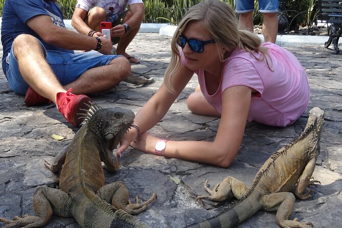 Half Day Tour of Guayaquil: History, Cocoa and Ecuadorian Taste. - Highlights of the Itinerary