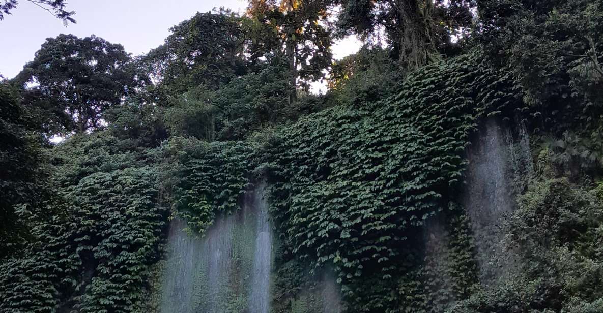 Half Day Trip to the Waterfall & Rice Fields