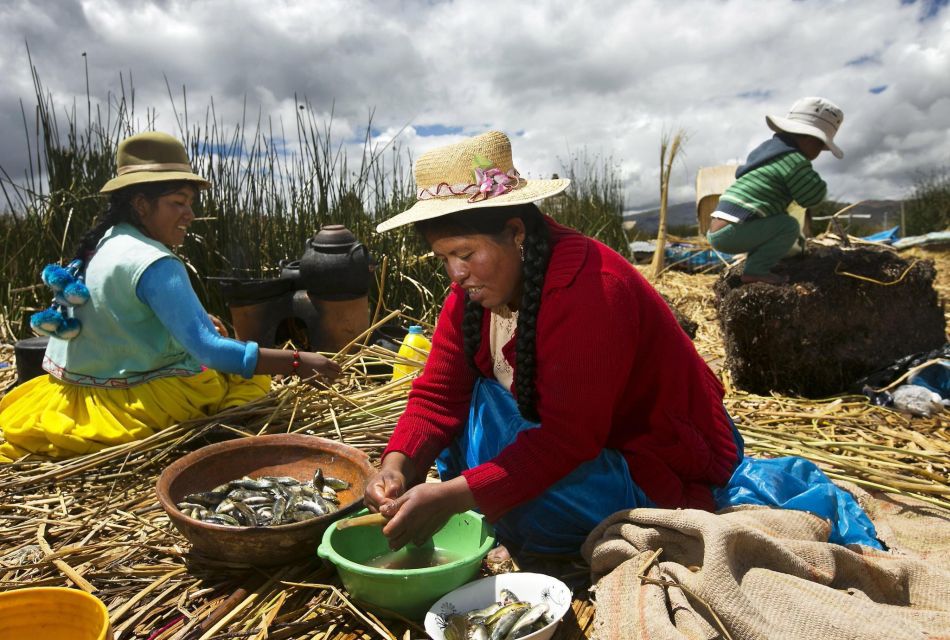 Half-Day Uros Floating Islands Tour From Puno