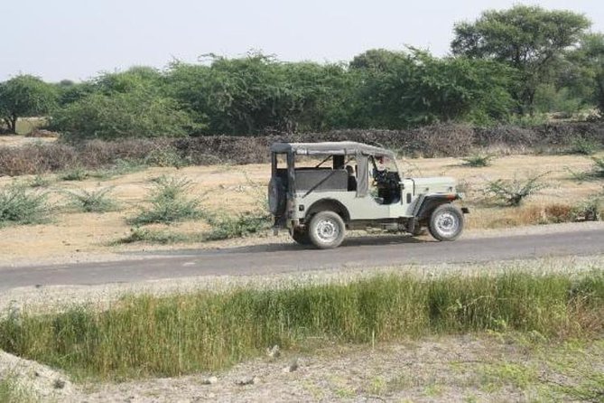 Half Day Village Safari