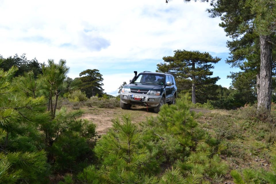 Halkidiki: Kassandra 4×4 Jeep Safari Off-Road Experience