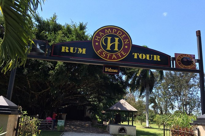 Hampden Estate Rum Tour and Lunch From Falmouth