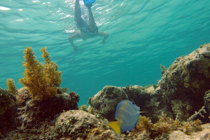 Happy Hour Party Boat With Snorkeling