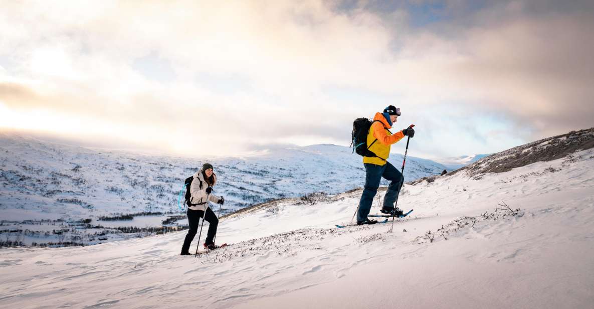 Hardangerfjord: Exclusive Snowshoe Hike With Majestic Views