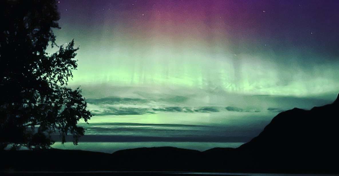 Harstad/Narvik/Tjeldsund: Northern Lights Sightseeing by Car