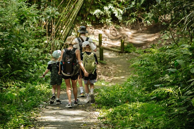 Heart of Bali, a 5-Day Walking Journey Through the Island of Gods - Overview of the Journey