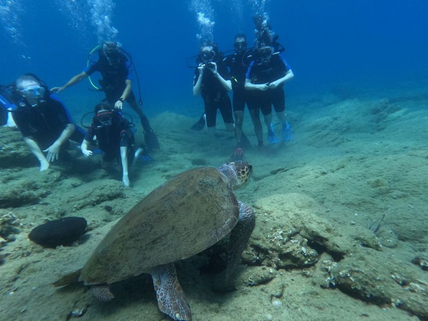 Heraklion: Beginners Intro Dive W/2 Dives With Transfer.