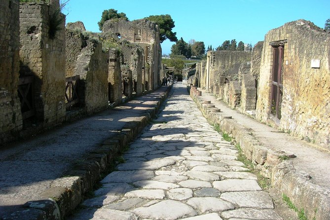 Herculaneum Group Tour From Naples