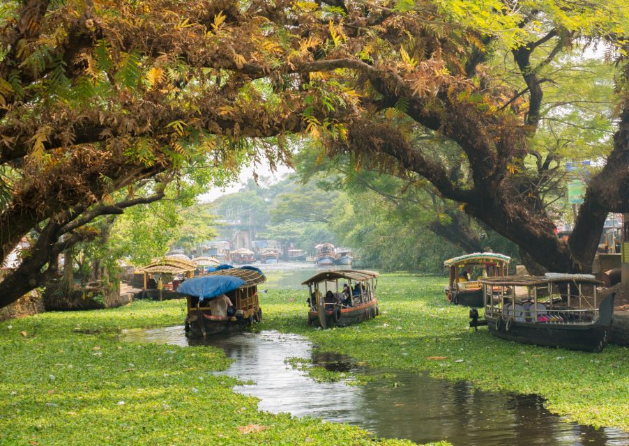 Heritage & Cultural Walk of Alleppey – Guided Walking Tour