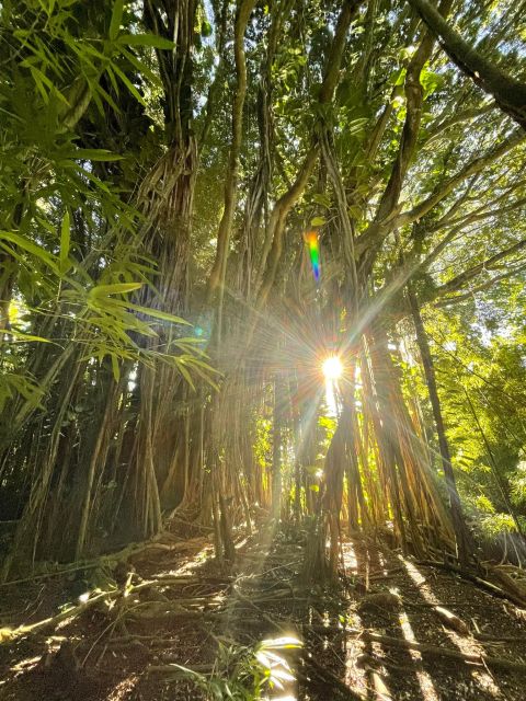 Hidden Hawaii Waterfall Hike & Beach Tour (Pickup + Photos!)