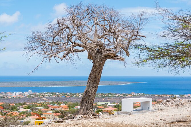 Highlights of Bonaire & Cultural Experience