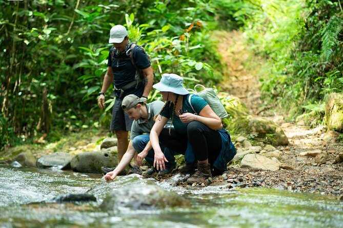 Hiking in Pance on the Mountain Range Near the Farallones De Cali