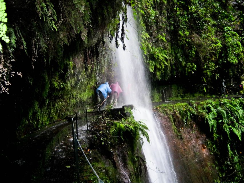 Hiking Levadas of Madeira: Levada Do Rei