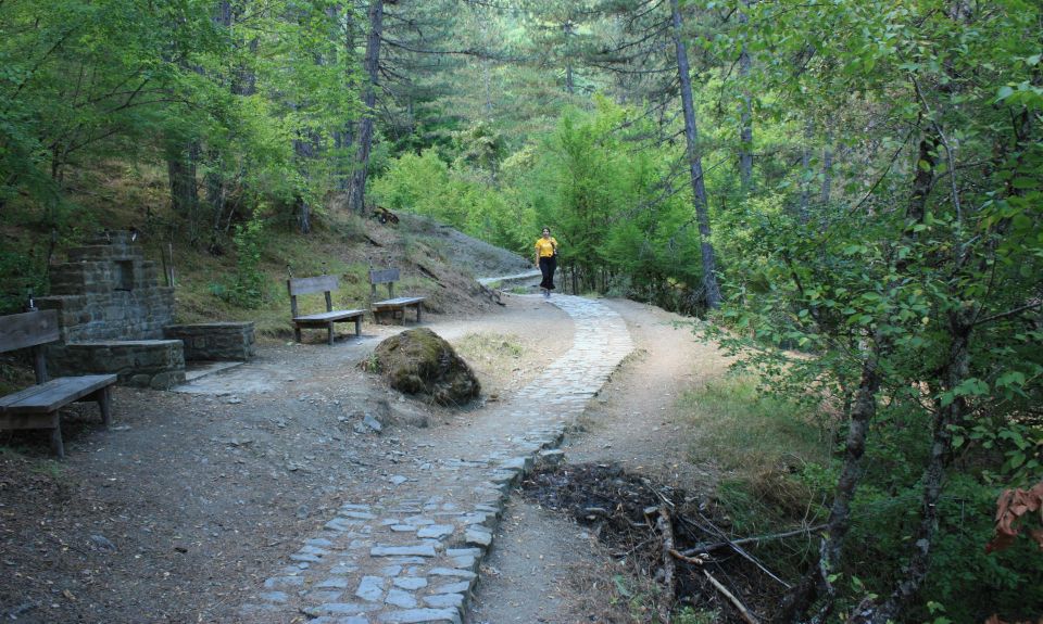 Hiking, Swimming and Sightseeing Tour in Central Zagori Area