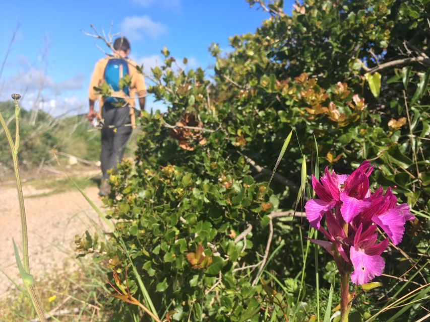 Hiking Tour to Highest Limestone Cliff in Europe - Tour Details