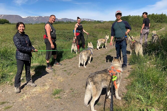 Hiking With Husky in Akureyri (Private)