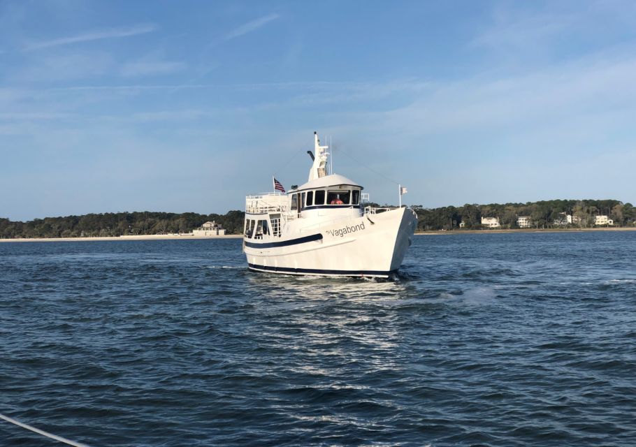 Hilton Head Island: Dolphin Nature Cruise