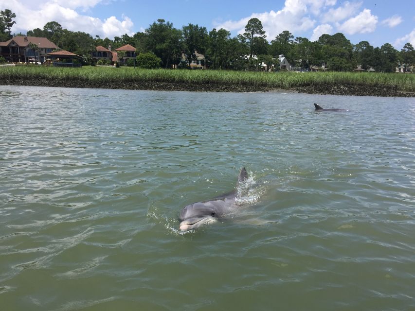 Hilton Head Island: Pontoon Boat Rental