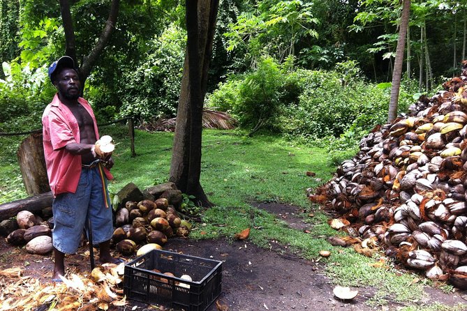 Historical 18TH Century Estate Tour With Coconut Tasting