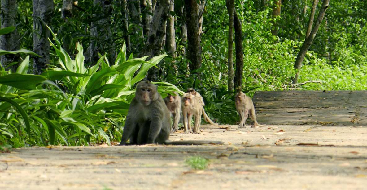 Ho Chi Minh: Private Can Gio Mangrove Forest Day Tour