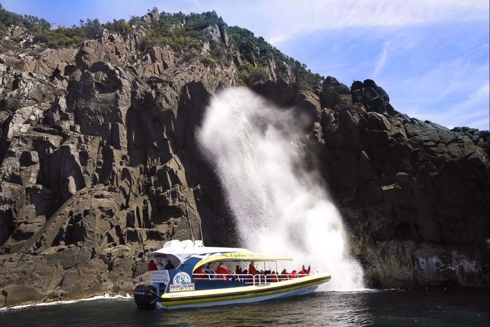 Hobart: Bruny Island Wilderness Coast Eco Cruise With Lunch - Tour Details