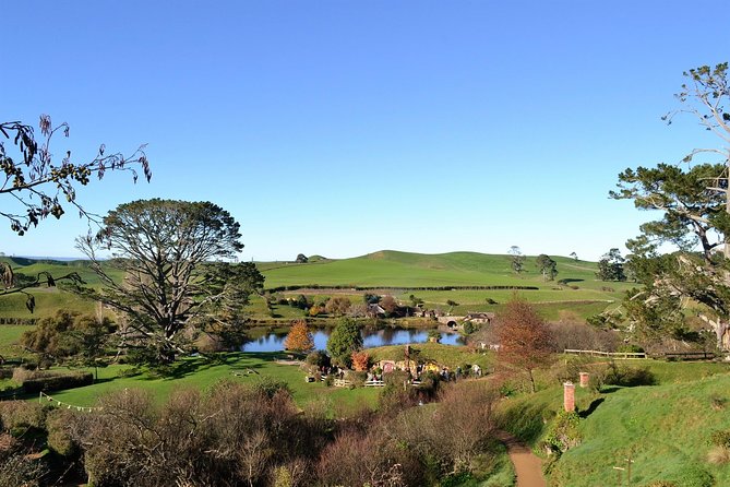 Hobbiton Movie Set Group Tour Early Access (Avoid the Crowds!)