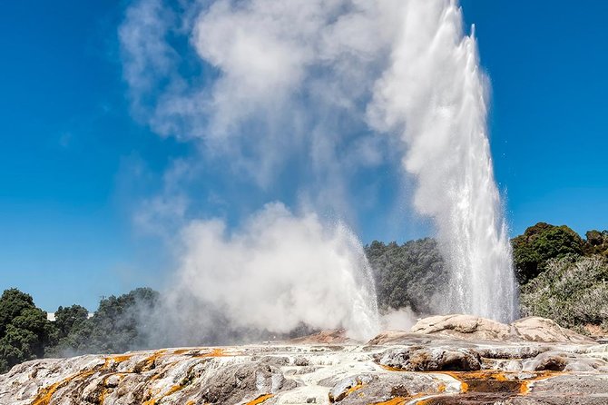 Hobbiton & Rotorua Small Group Tour Including Te Puia From Auckland