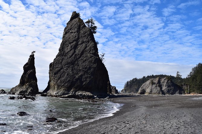 Hoh Rain Forest and Rialto Beach Guided Tour in Olympic National Park