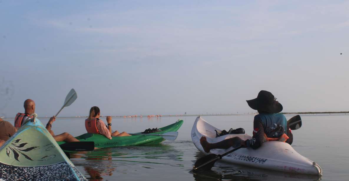 Holbox: Guided Sunrise Kayak Tour Through Mangrove Reserve - Overview of the Tour