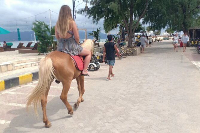 Horse Ride On The Beach Gili Islands