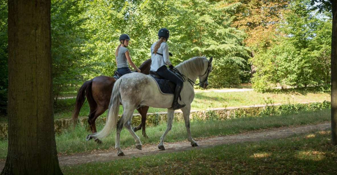 Horse Ride Versailles Intimacy & Vip - Itinerary Details