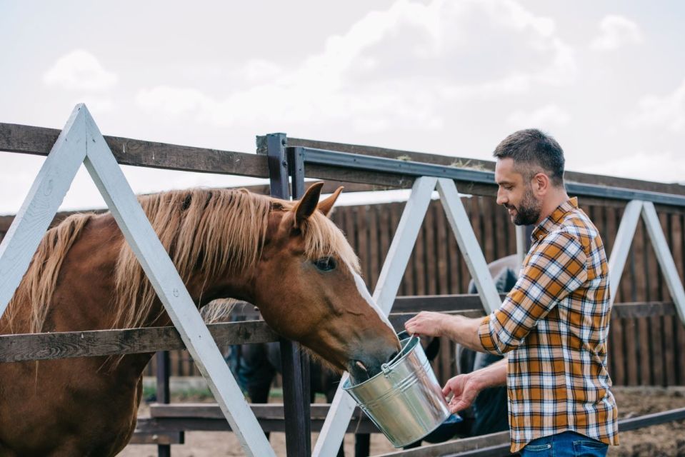 Horse Riding Through the Valleys + Lunch