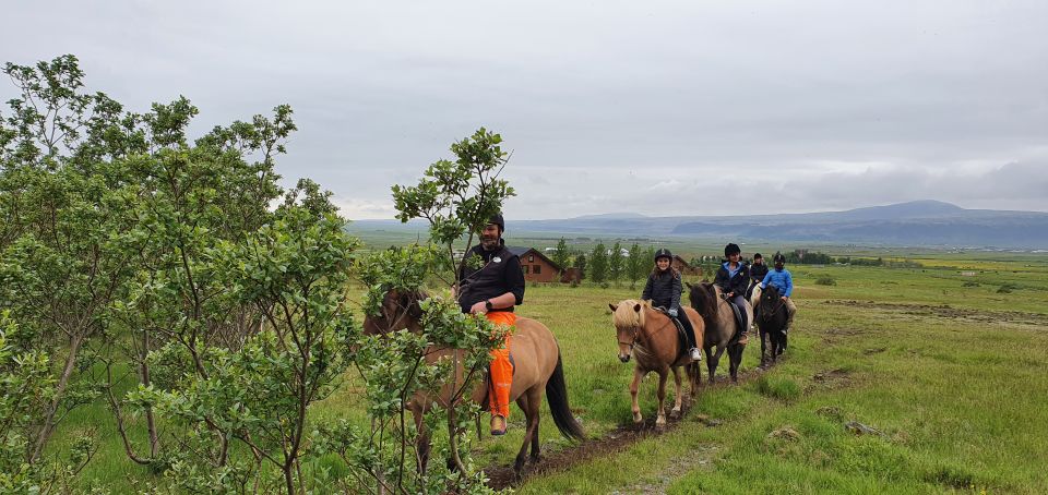 Horse Riding Tour in Reykjadalur (Hotspring Valley)